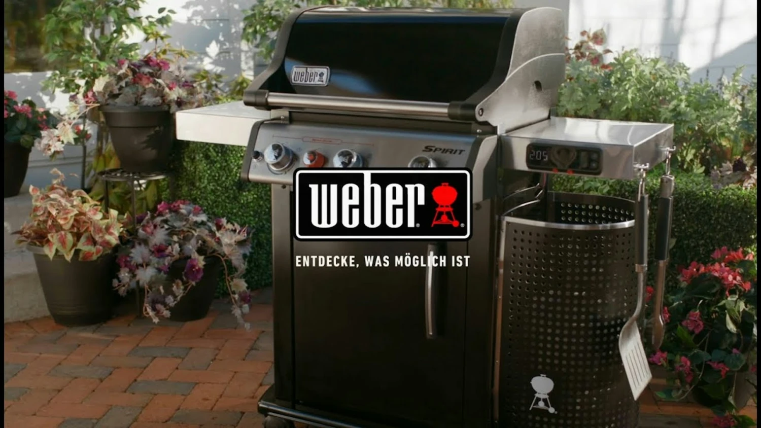 Weber Spirit EPX-315 GBS – Bild 3
