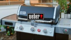 Weber Genesis II EX-315 GBS -Weber VH8uBf HQS8