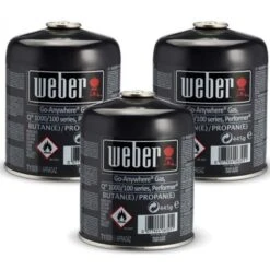 Weber Gas-Kartusche 3er-Pack 17669 Für Q 100/1000 Und GO-ANYWHERE