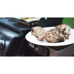 Weber Gasgrill Spirit EPX-325S GBS -Weber Weber Gasgrill Spirit EPX 325S GBS@@1694193 16