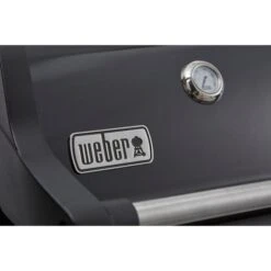 Weber Gasgrill Spirit E-215 GBS Black -Weber Weber Gasgrill Spirit E 215 GBS Black@@1694187 9