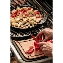 Weber Gasgrill Traveler Black -Weber Weber Gasgrill Traveler Black@@1694181 12