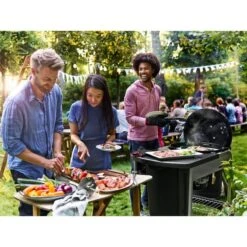 Weber Holzkohlegrill Performer Premium GBS Edition -Weber Weber Holzkohlegrill Performer Premium GBS Edition@@1805697 18
