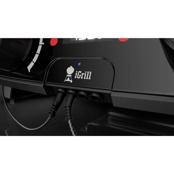 Weber Kontrolleinheit Für Pulse 2000, Ersatzteil 4 Weber Kontrolleinheit Für Pulse 2000, Ersatzteil – Bild 2