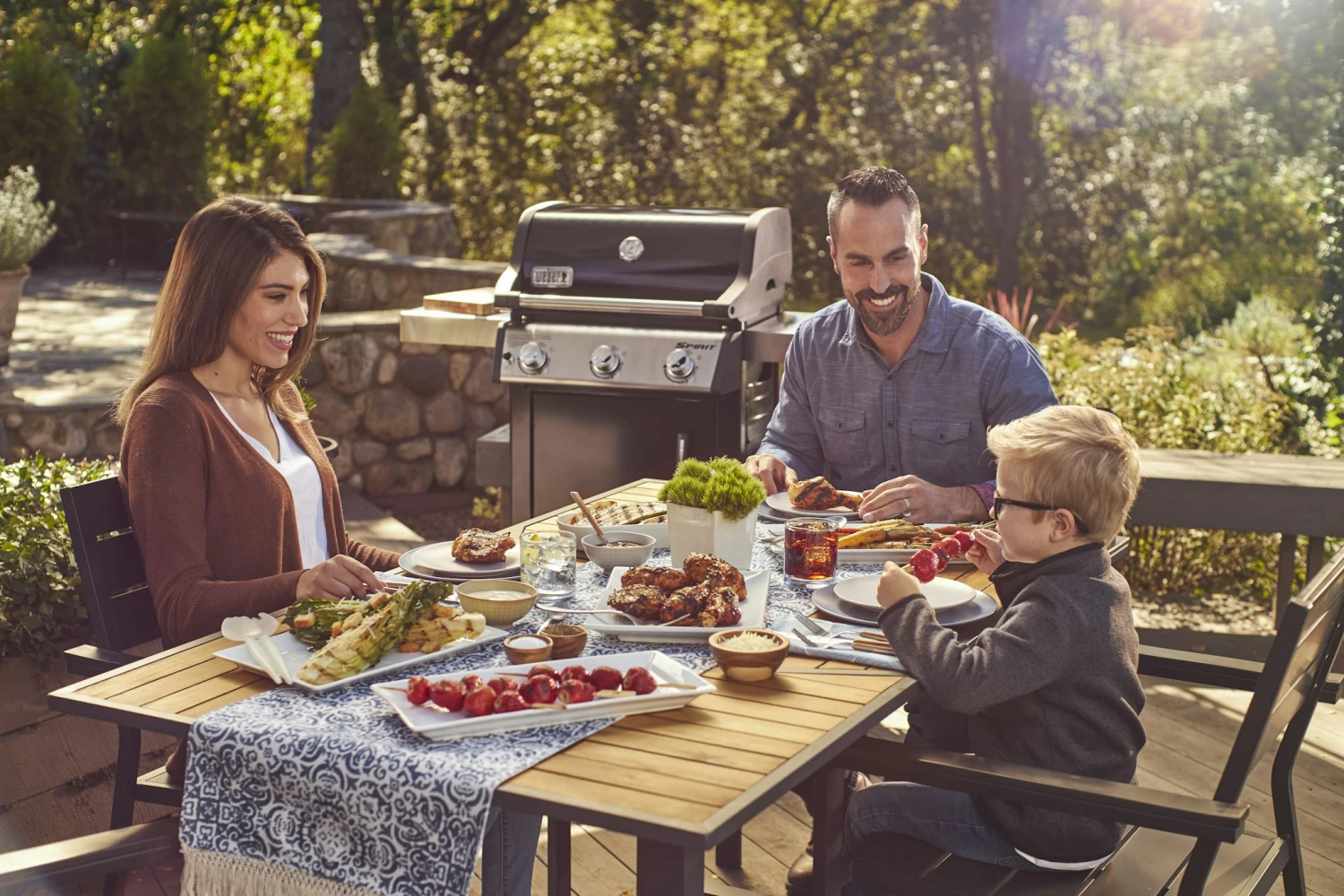 Weber Spirit E-315 GBS – Bild 20